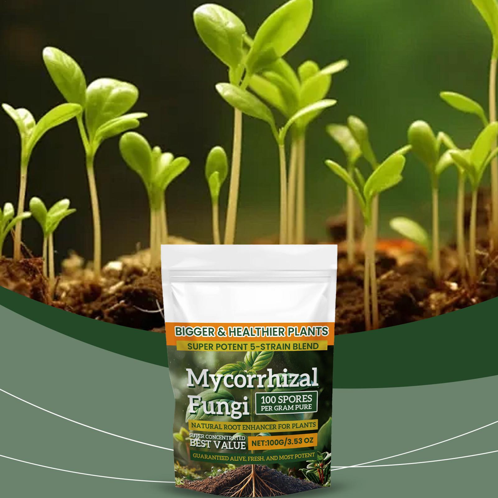 100g Bubuk Penguat Akar Nutris - Roots Nutrition & Fitness Inglewood Photos ulasan dan harga